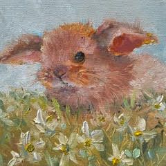 Daisy Daydreams - Sarah Jane Conklin