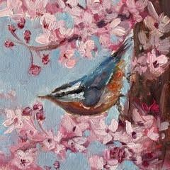 Looking Up - Sarah Jane Conklin