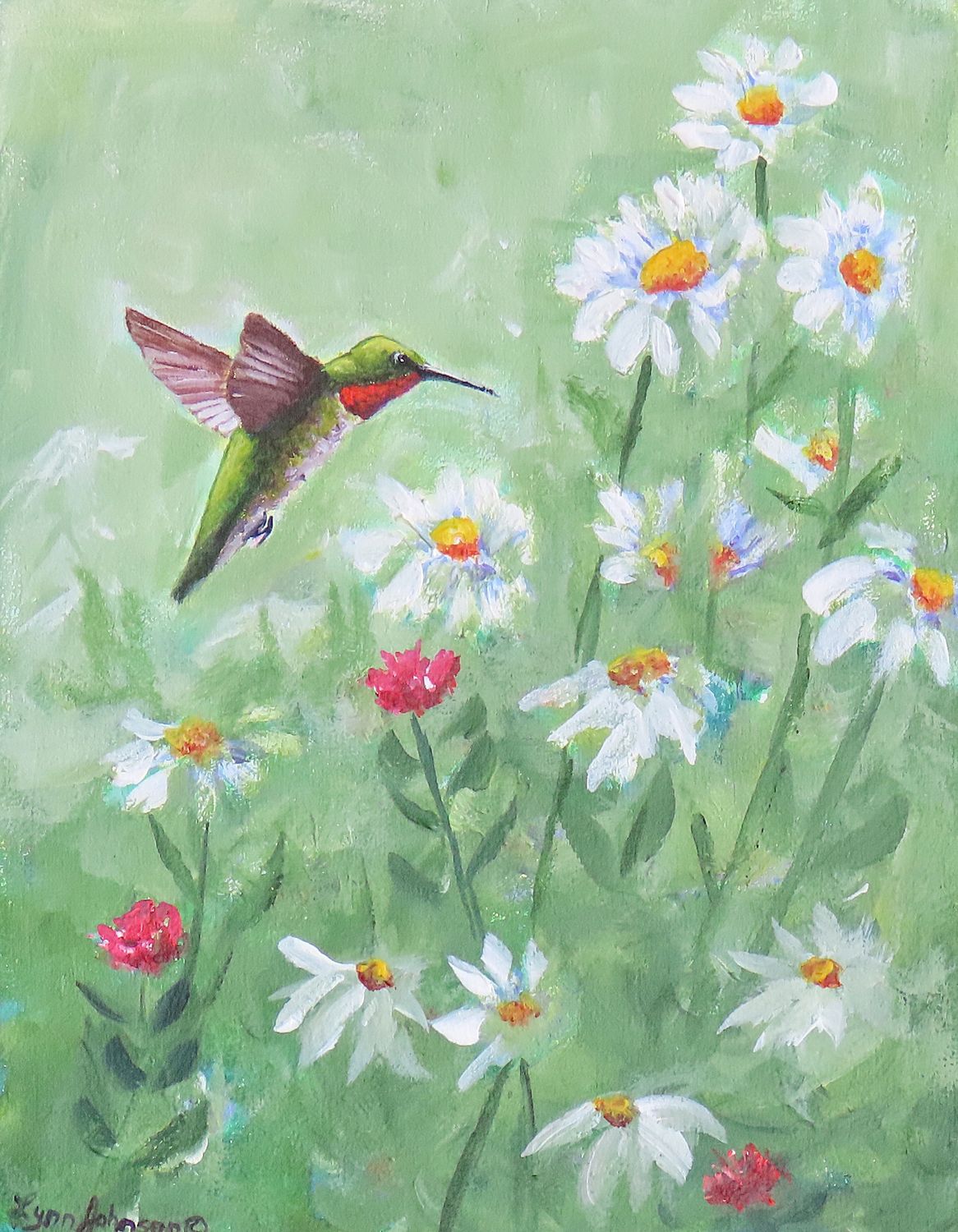 Dancing with Daisies - Lynn Johnson