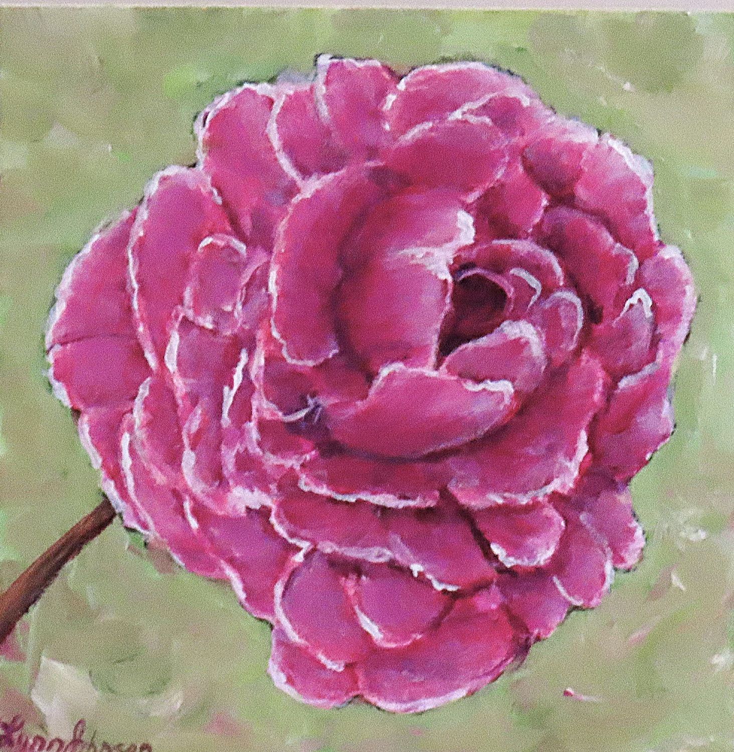 Peony - Lynn Johnson
