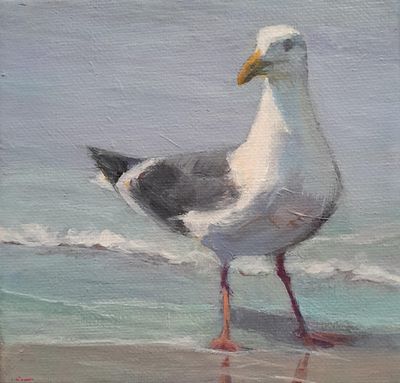 Sunlit Seagull - Sheila Harnish