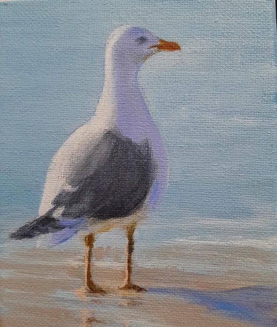 Stately Seagull - Sheila Harnish Stately Seagull - Sheila Harnish