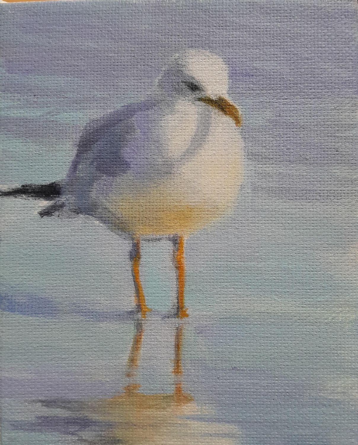 Summer Seagull - Sheila Harnish