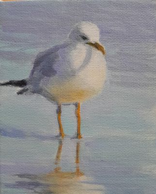 Summer Seagull - Sheila Harnish