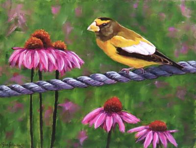 What a Beautiful Evening (Grosbeak) - Lynn Johnson