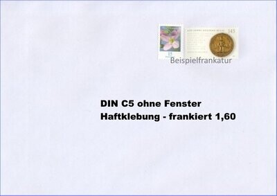 e) DIN C5 1,60 - Umschlag ohne Fenster HK - 100 Stück