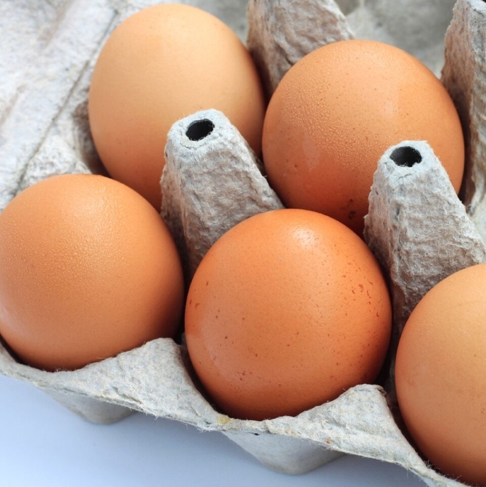 6 x Free Range Eggs