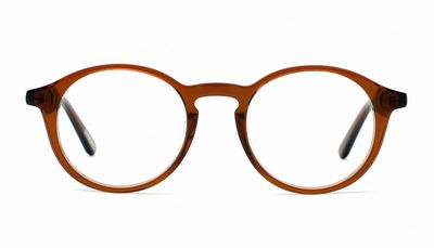 Reading glasses Frank and Lucie Eyefresh FL21600 rum runner +1.00