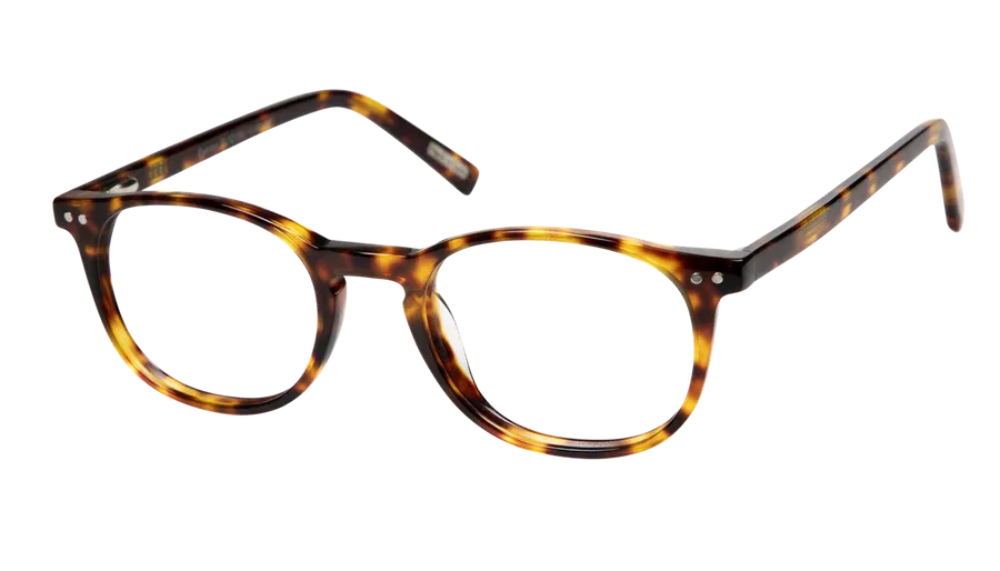 Reading glasses Frank and Lucie Eyecon FL12156 turtle shade +2.50