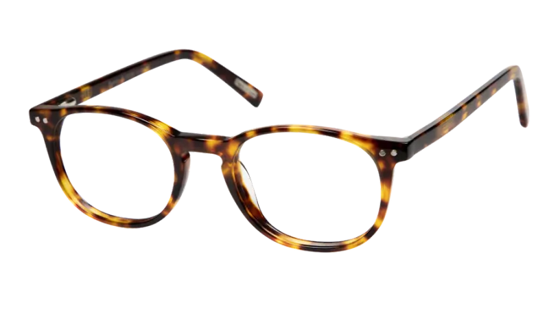 Reading glasses Frank and Lucie Eyecon FL12156 turtle shade +2.50