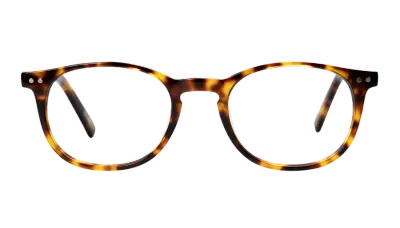 Reading glasses Frank and Lucie Eyecon FL12156 turtle shade +2.50