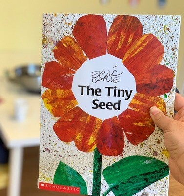 BOOK: The Tiny Seed by Eric Carle