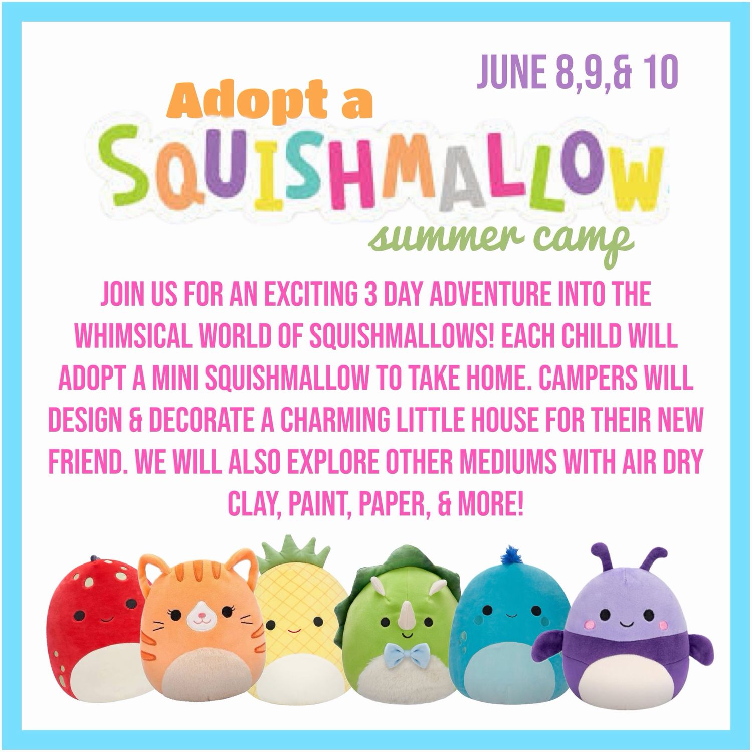 Week #2/Adopt a Squishmallow