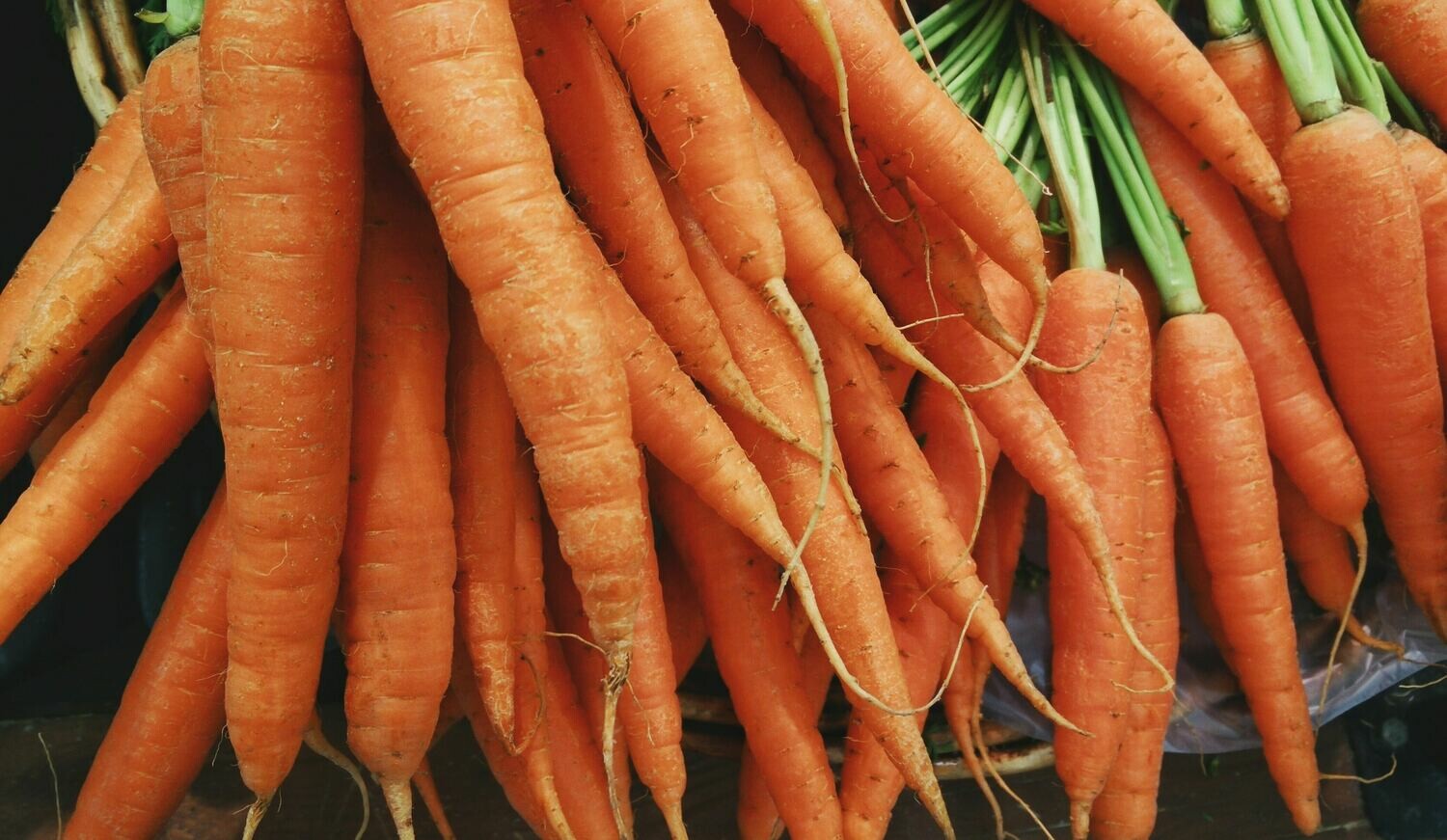 JUMBO CARROTS (1LB) JUMBO CARROTS (1LB)