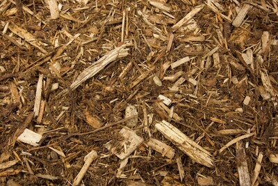 Northwoods and Cypress Blend (1 Cu Yd), bulk Northwoods and Cypress Blend (1 Cu Yd), bulk