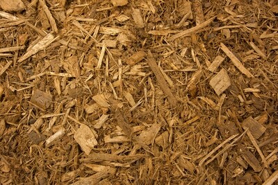 Golden Amber™ (1 Cu Yd), bulk Golden Amber™ (1 Cu Yd), bulk