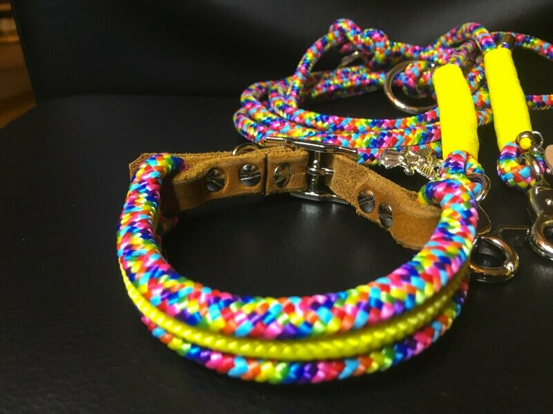 Hundehalsband regenbogen gelb mit Schnalle ab 17 cm Halsumfang