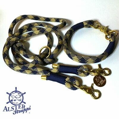 Leine Halsband Set verstellbar, blau, gold, Wunschlänge, mit Leder und Schnalle ab 98,00 €