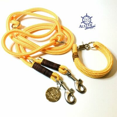 Leine Halsband Set gelb, braunes Leder, für kleine Hunde mit 6 mm Tau