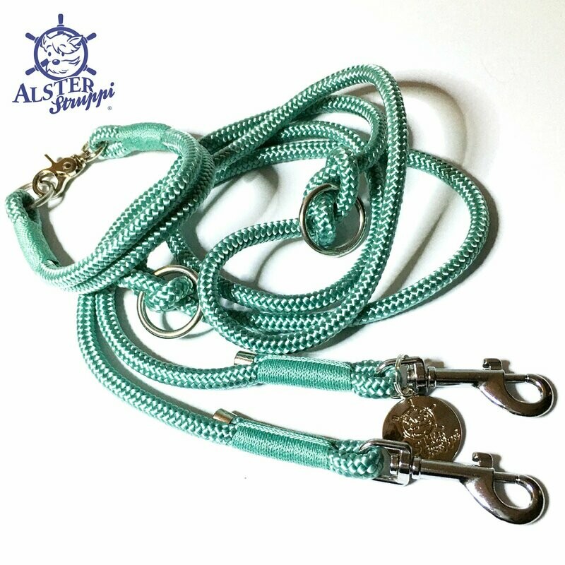 Leine Halsband Set mint, Taustärke nach Wahl