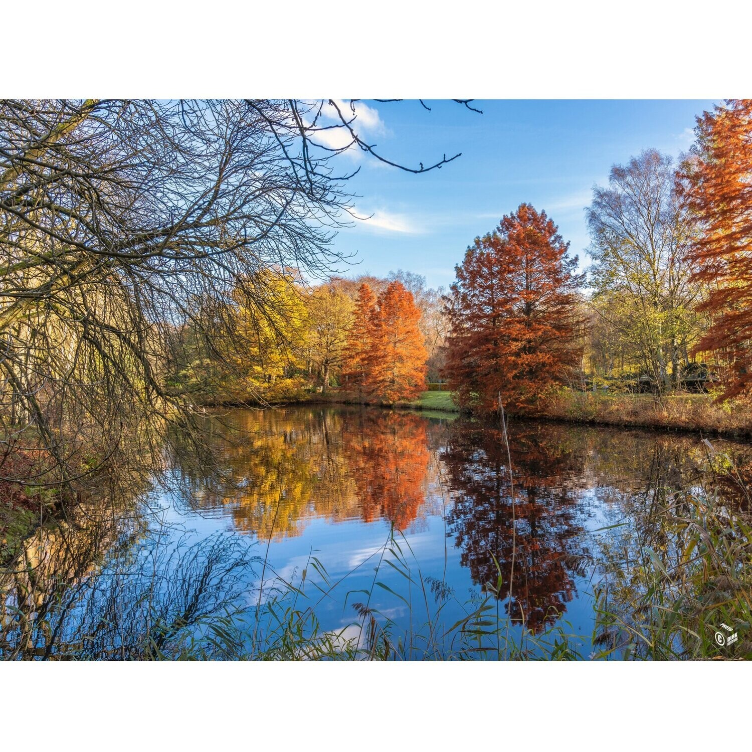 Hamburg Foto Datei - Stimmungsvoller Herbst in Hamburg, Abmessung nach Wunsch, max. Höhe 141,11 cm x Breite 188,91, zum Selbstdruck, Lieferung per filesharing