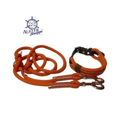 Leine Halsband Set, orange, rosegold, verstellbar