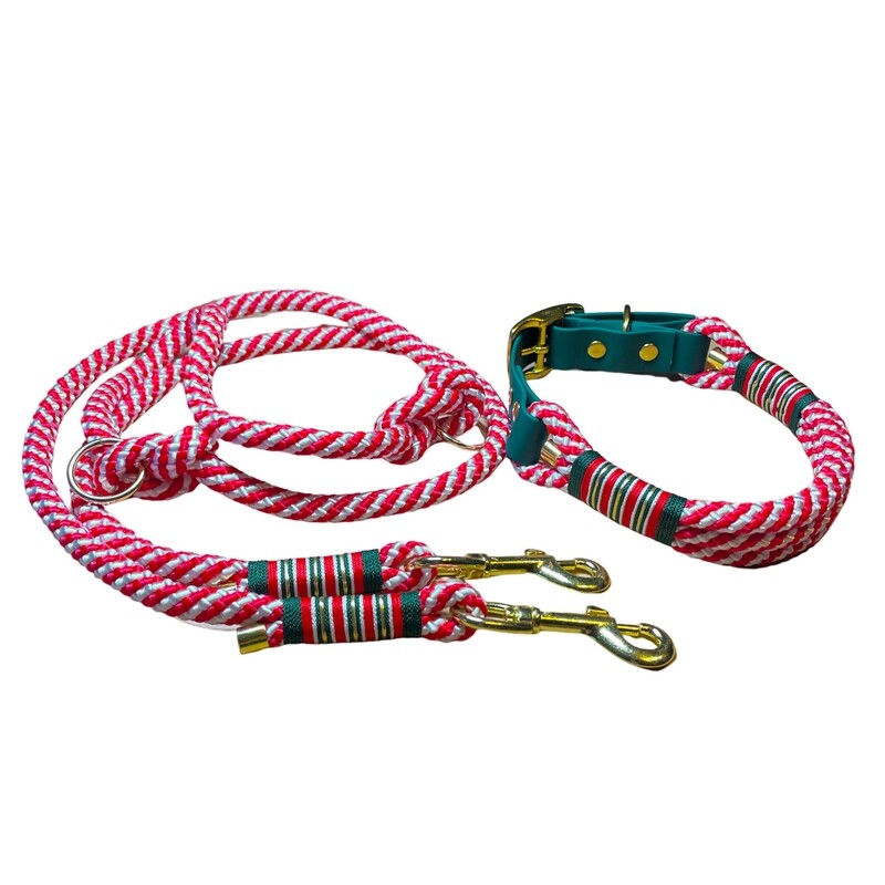 Leine Halsband Set verstellbar,rot, weiß, grün, gold, ab 25 cm Halsumfang