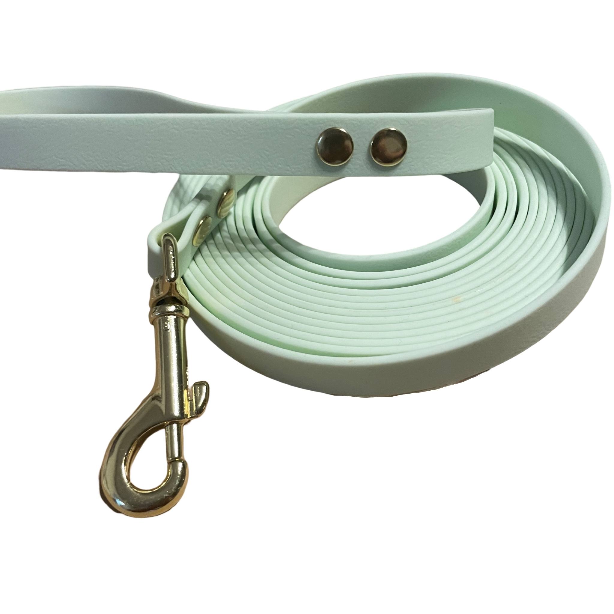 Tolle Führleine aus Coated Webbing, 16 mm Breite, mintgrün, sehr leicht und abwaschbar, Länge nach Wunsch