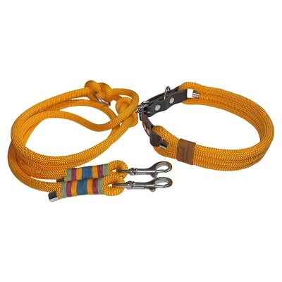 Leine Halsband Set verstellbar, honiggelb, warmes gelb, ab 25 cm Halsumfang