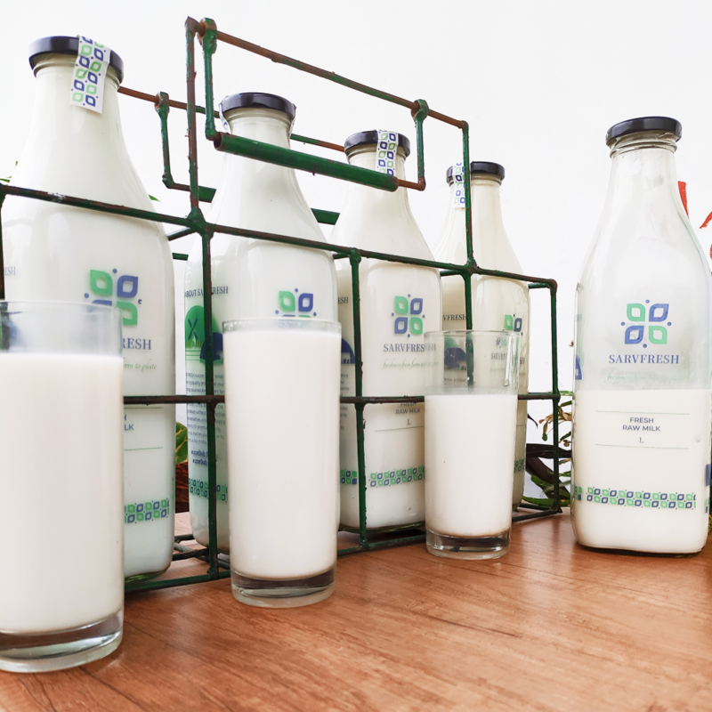 A2 COW MILK