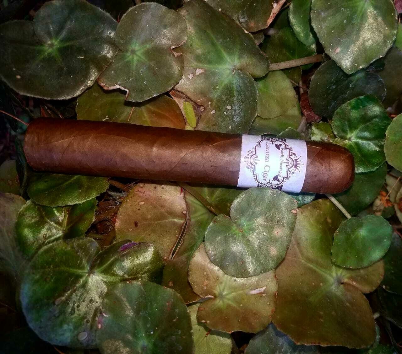 Habano criollo