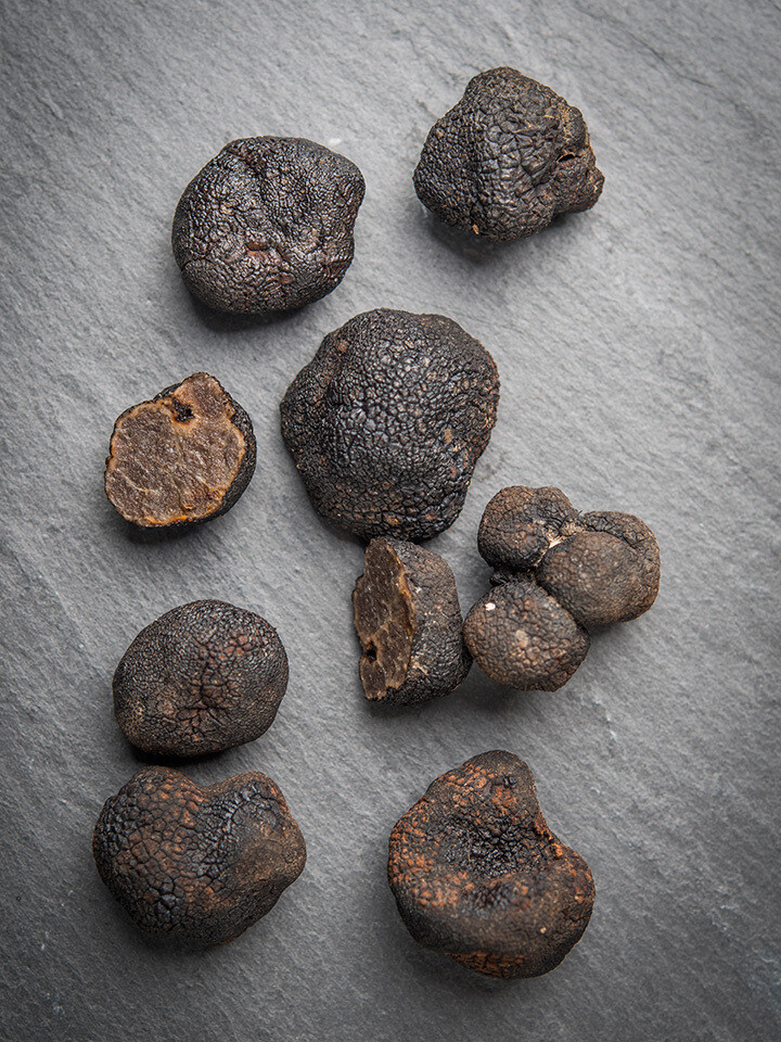 PorciniTruffle Cream Sauce