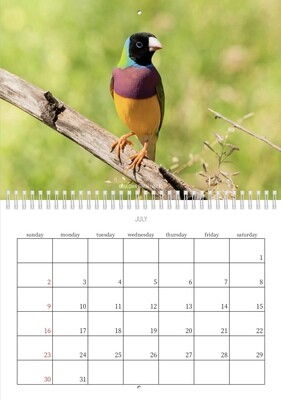2023 Calendar - *LIMITED EDITION* Wildlife of Western Australia