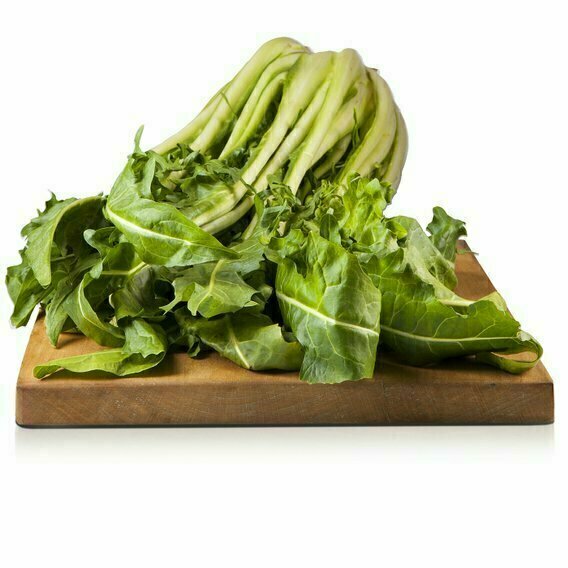 Catalogne Cimata - Puntarelle 1,5kg Catalogne Cimata - Puntarelle 1,5kg