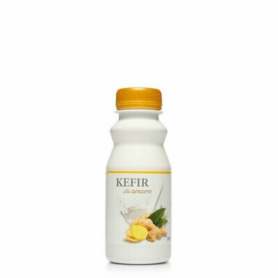 Kéfir de Lait au gingembre 250g Kéfir de Lait au gingembre 250g