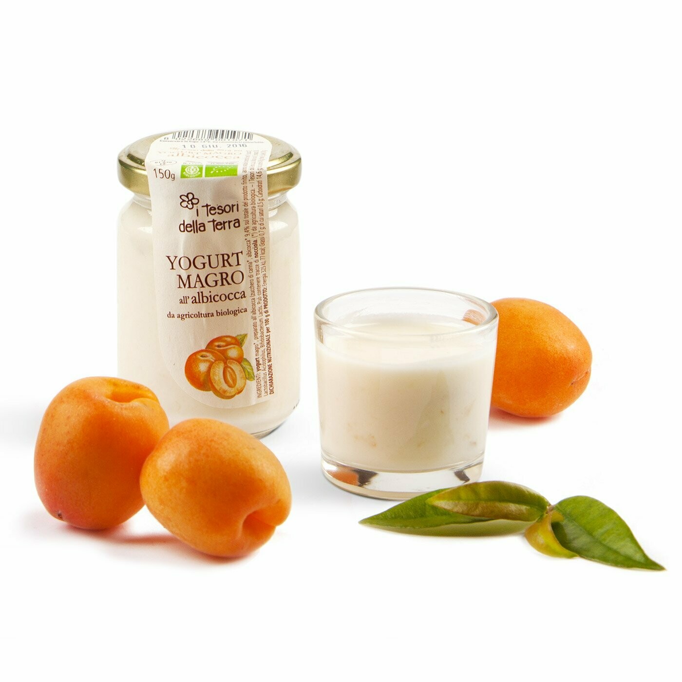 Yaourt Écrémé Abricot 125g Yaourt Écrémé Abricot 125g