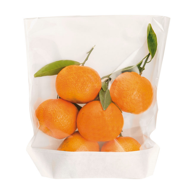 Bolsa com base e janela 20x24/21x3,5cm (Pack 100 unidades)