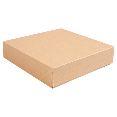Caixa THEPACK 23x23x5cm