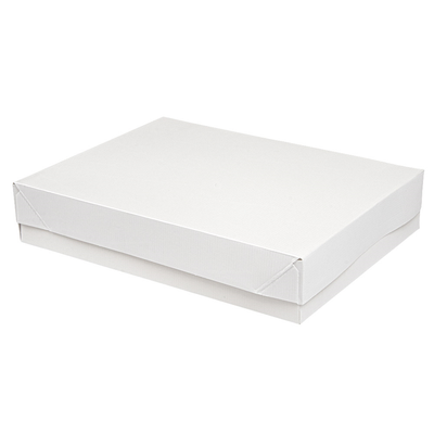 Embalagem THEPACK + tampa 23x17x4,5cm (Pack 10 unidades)