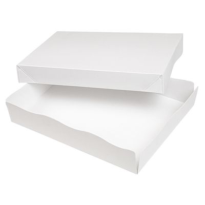 Embalagem THEPACK + tampa 23x17x4,5cm (Pack 10 unidades)