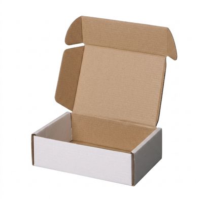 Caixa de cartão PAKITOBOX 25X18X10cm