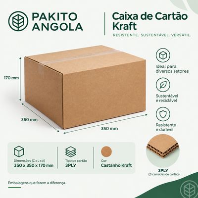 Caixa de Cartão Canelado 350x350x170 3PLY