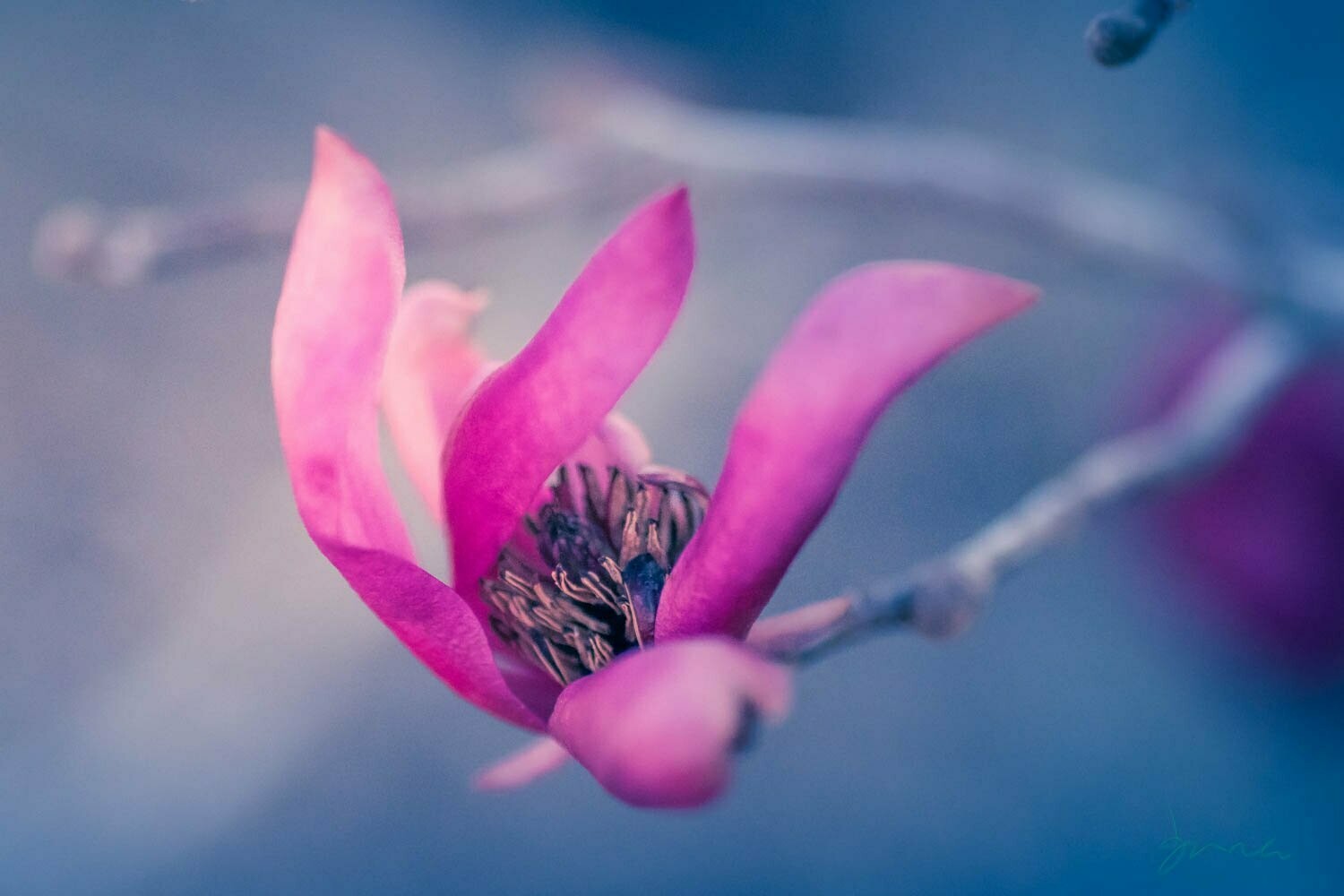 power of taint  ~ photography art multi-size wall decor print
