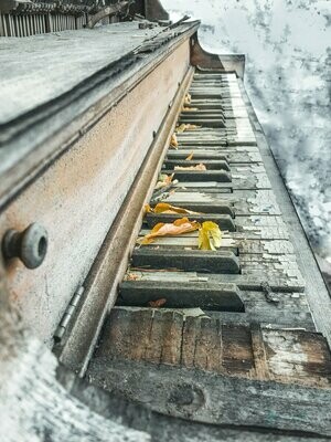 rustic
