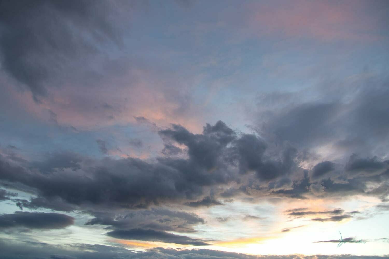 beguile ~ sunset photography art multi-size wall decor print