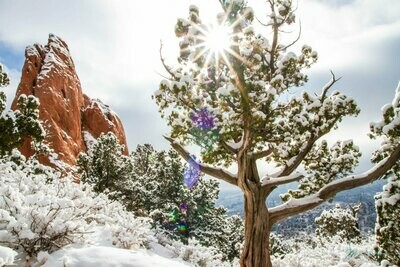 colorado