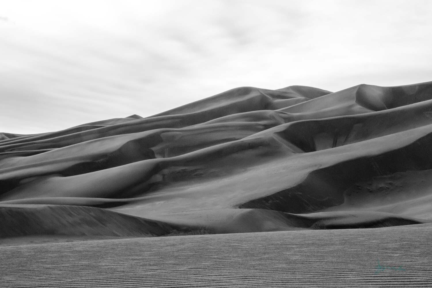 sandy curve ~ photography art multi-size wall decor print
