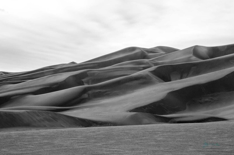 sandy curve ~ photography art multi-size wall decor print