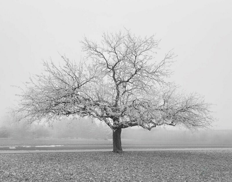 murk ~ photography art multi-size wall decor print