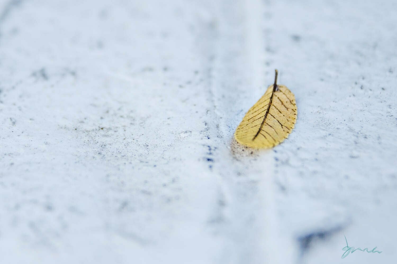 merit ~ photography art multi-size wall decor print